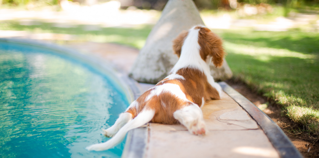 Auto generated site country club