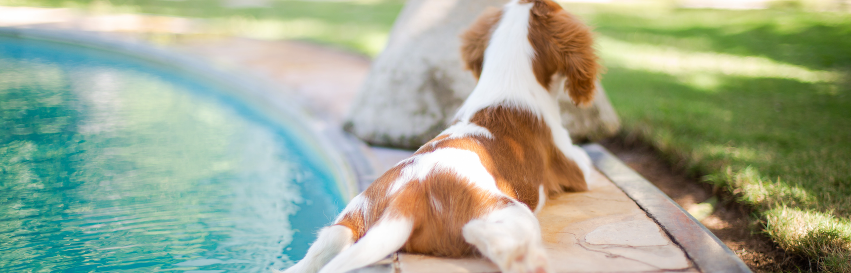 Auto generated site country club