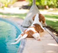 Auto generated site country club