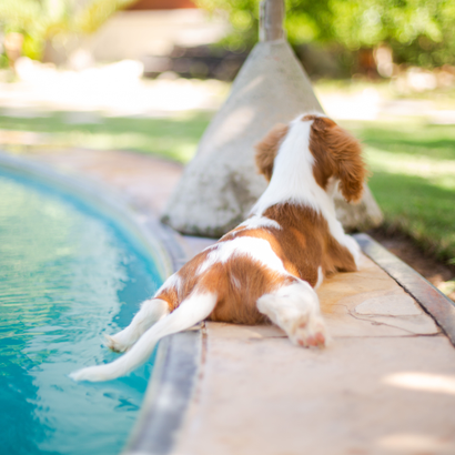 Auto generated site country club