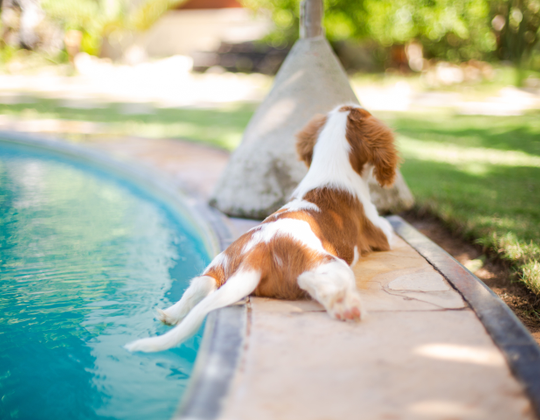 Auto generated site country club