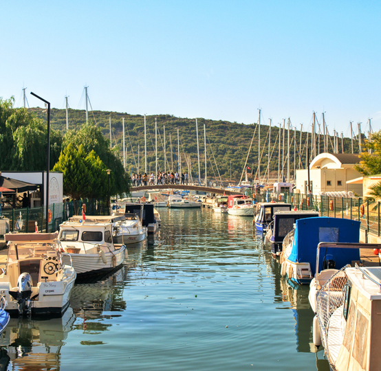 Auto generated site country club